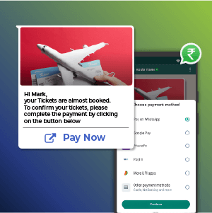 WhatsApp Business payments feature